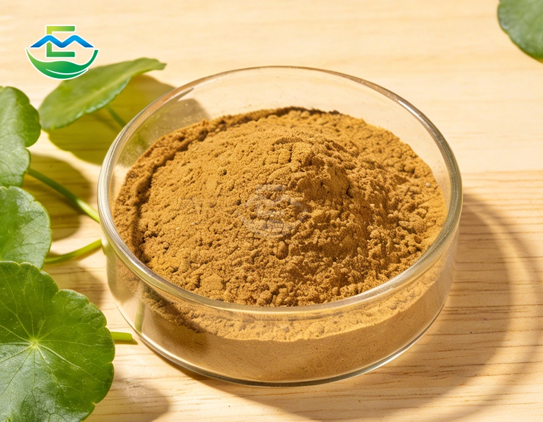 Gotu Kola Powder